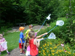 Love butterflies? WVBG has all types to come see